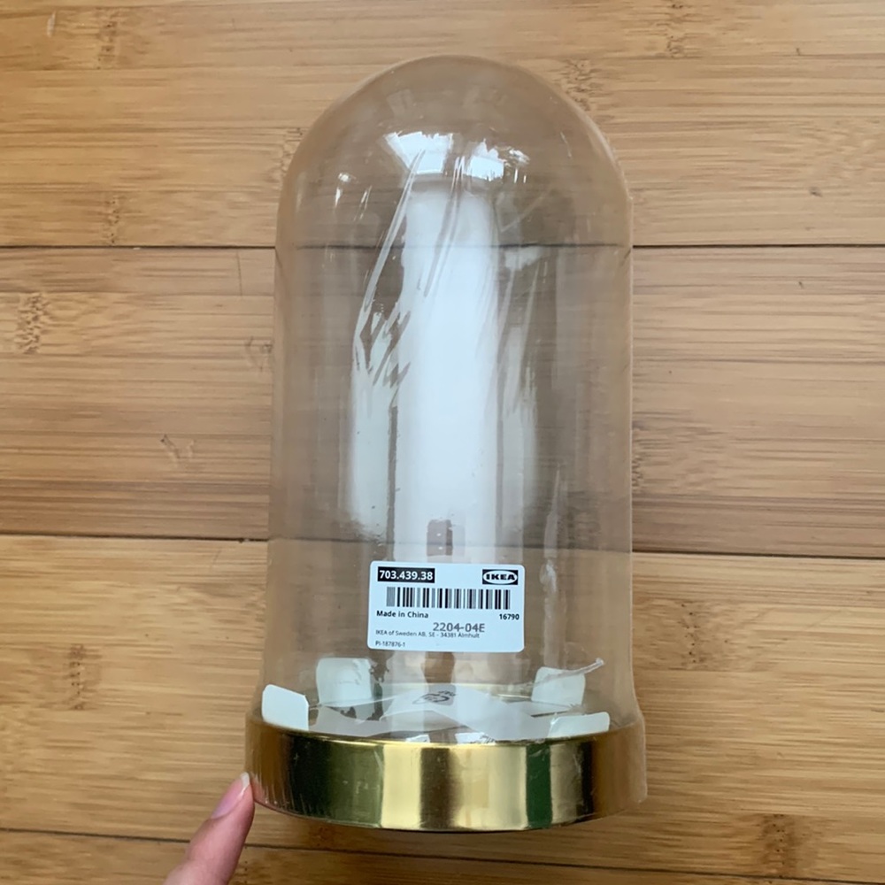 Small Glass Dome